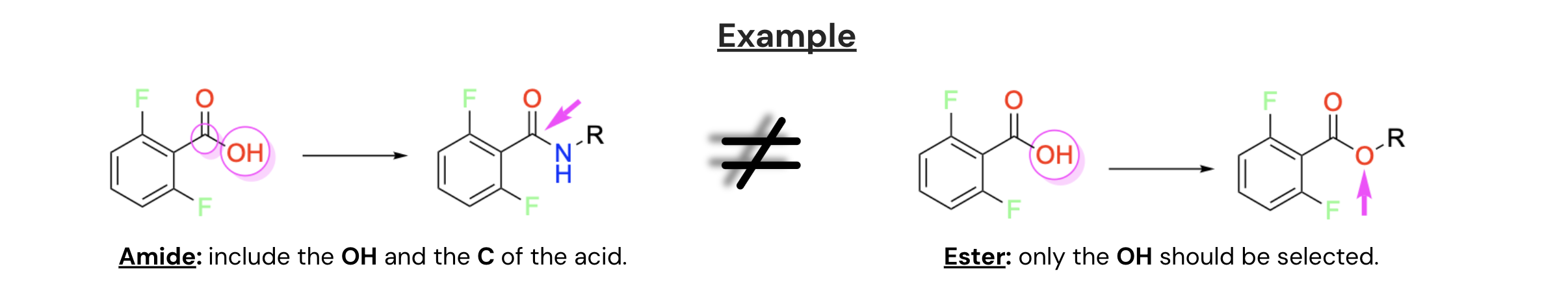 Screenshot 2025-02-28 at 13.17.32.png